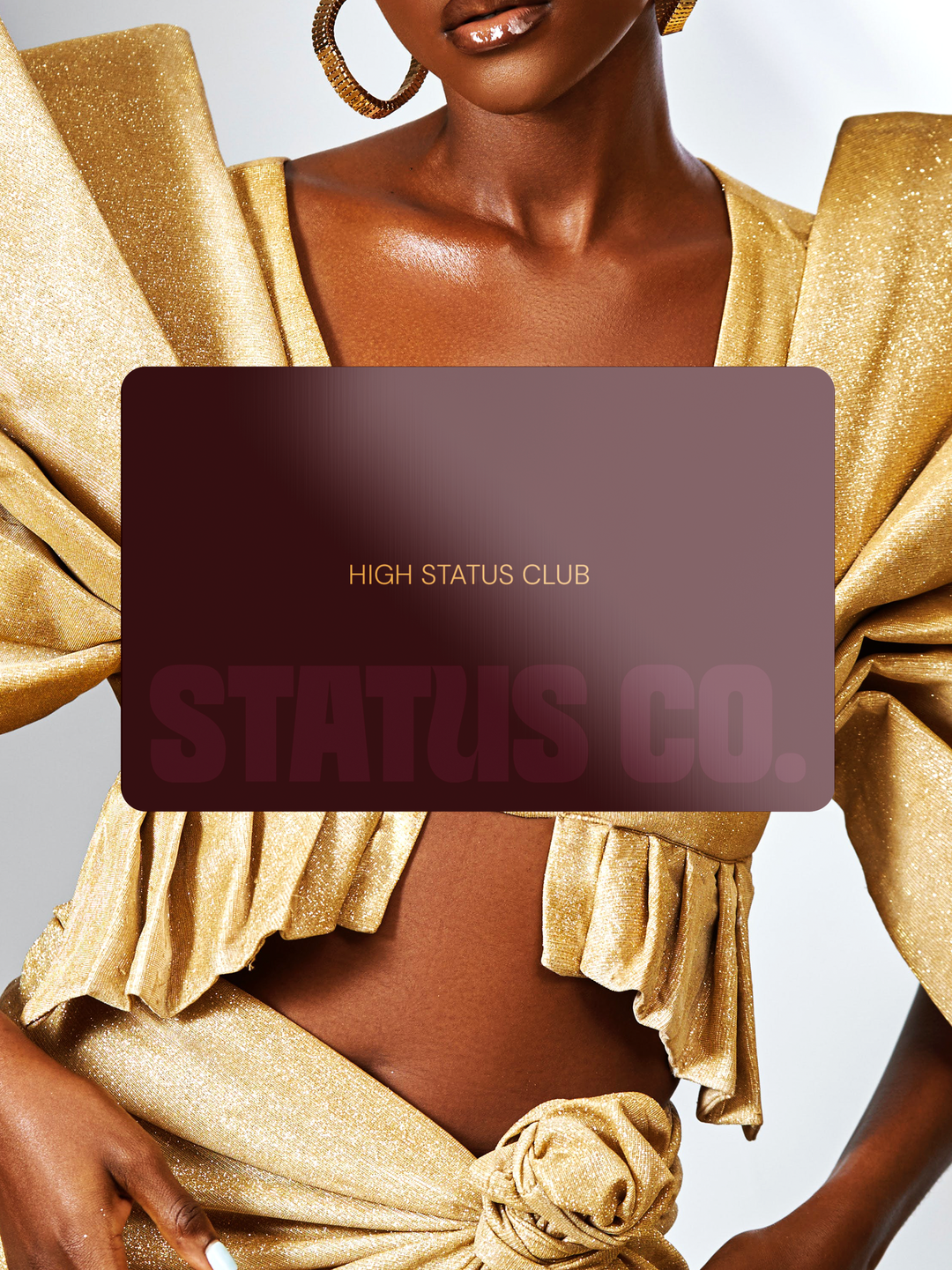 High Status Membership – Status Co.